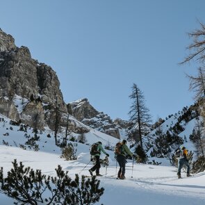 Skitourengeher beim Aufstieg durch Latschen zum Kalbenjoch in Trins  | © TVB Wipptal - Nicole Fiedler