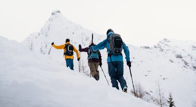 Drei Skitourengeher von hinten fotografiert beim Aufstieg | © TVB Wipptal | Johannes Bitter