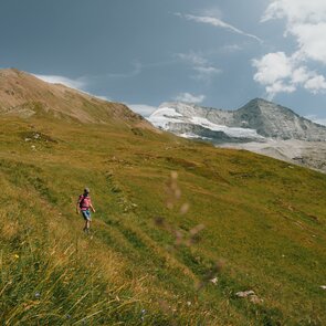 Ein Mann wandert auf Bergmähdern im Bergsteigerdorf Schmirn  | © TVB Wipptal | Johannes Bitter