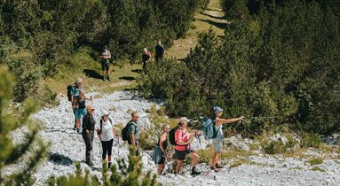 Skupinu turistů vede horský vůdce © TVB Wipptal - Johannes Bitter