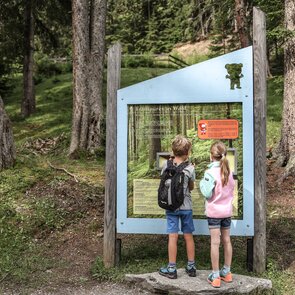 A boy and a girl stand at an information board in the forest | © Ewelina Herzog