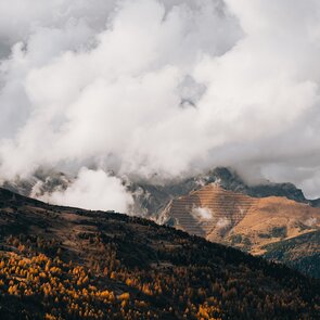 Herfstsfeer op de Padauner Kogel | © TVB Wipptal | Johannes Bitter