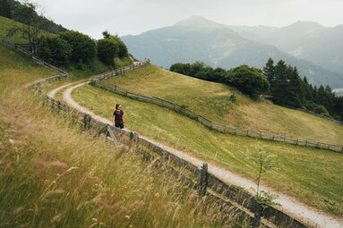 Een wandelaar op een bospad midden in de velden | © TVB Wipptal | Johannes Bitter
