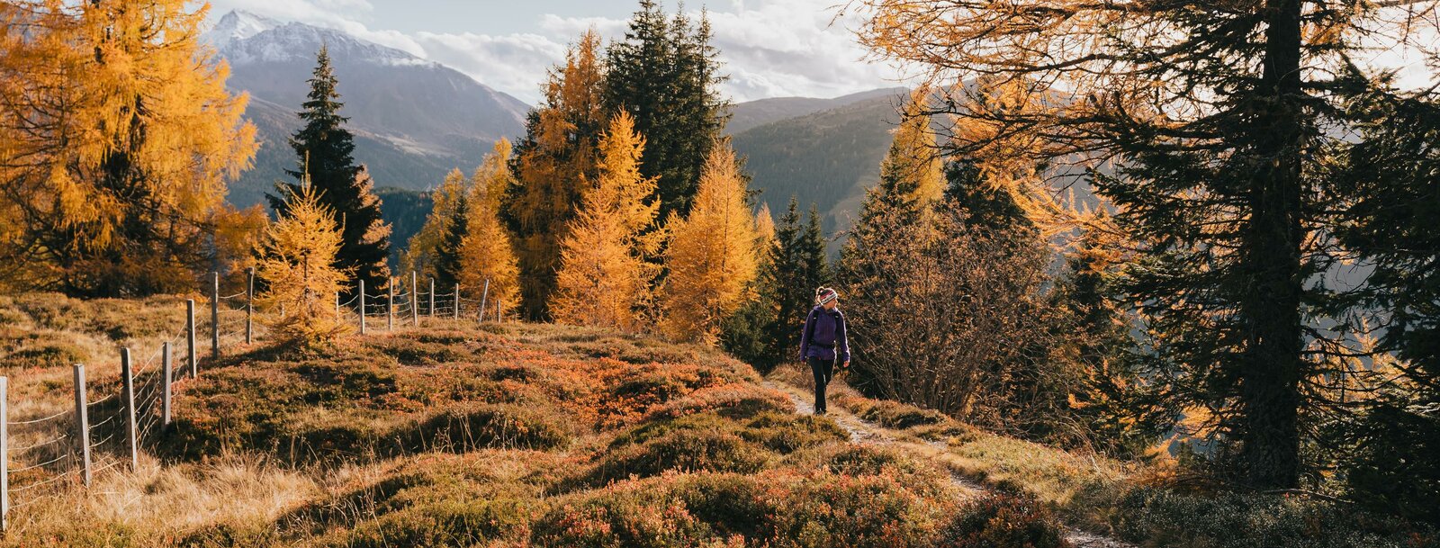 Eine Frau wandert auf einem Pfad durch einen herbstlich verfärbten Almboden  | © TVB Wipptal | Johannes Bitter