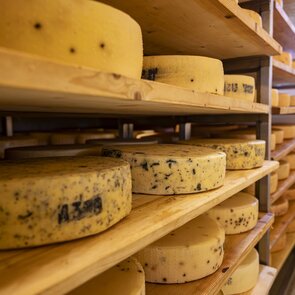 Almkäse im Käsekeller der Steineralm in Obernberg | © TVB Wipptal / Almis Berghotel