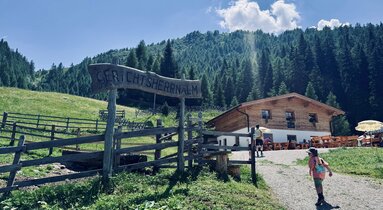 Gerichtsherrnalm in Steinach am Brenner | © Daniela Achmüller