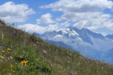 Escursione lungo il crinale fino al Lichtsee - Vista sull'Olperer nella valle dello Schmirn | © TVB Wipptal | Daniela Achmüller