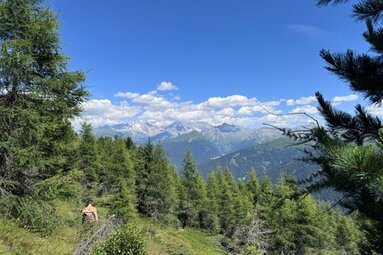 Sentiero escursionistico n. 125 dal Lichtsee al centro di Obernberg con panorama montano | © TVB Wipptal | Daniela Achmüller