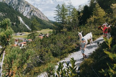 Zwei Kind wandern mit Alpakas  | © TVB Wipptal / Johannes Bitter