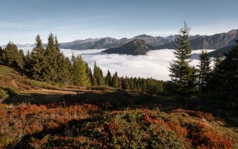 Wandern im Herbst - über der Nebelgrenze im Wipptal | © Vincent Croce | TVB Wipptal