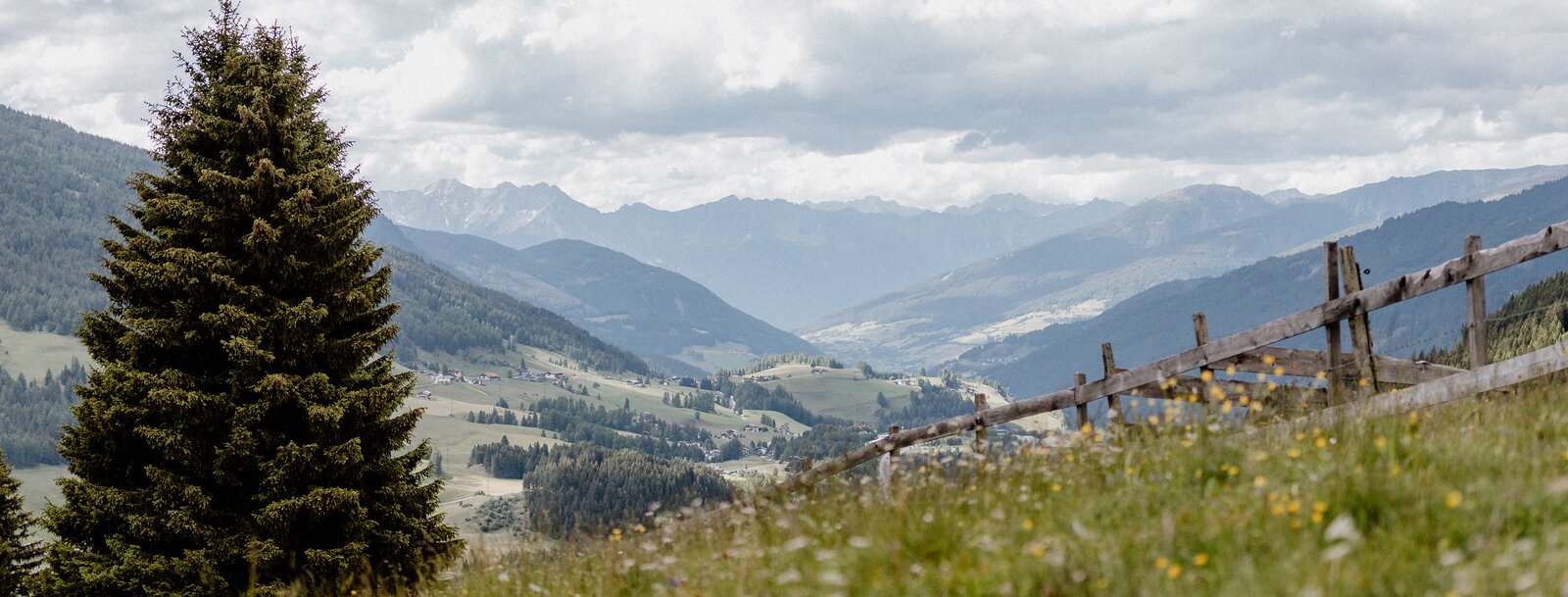 Ausblick aufs Wipptal von der Sattelbergalm