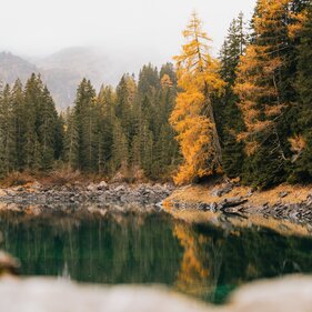 Lerken in herfstkleuren met de Obernbergersee op de voorgrond